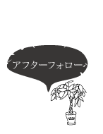 アフターフォロー